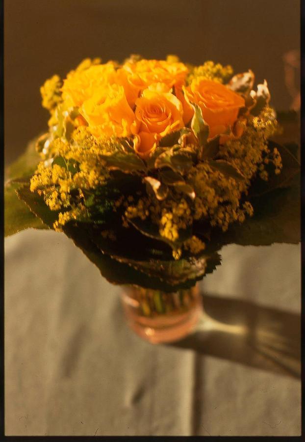 Raffl Apart ซังคท์อันทอนอัมอาร์ลแบร์ก ภายนอก รูปภาพ